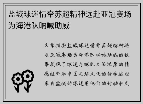 盐城球迷情牵苏超精神远赴亚冠赛场为海港队呐喊助威